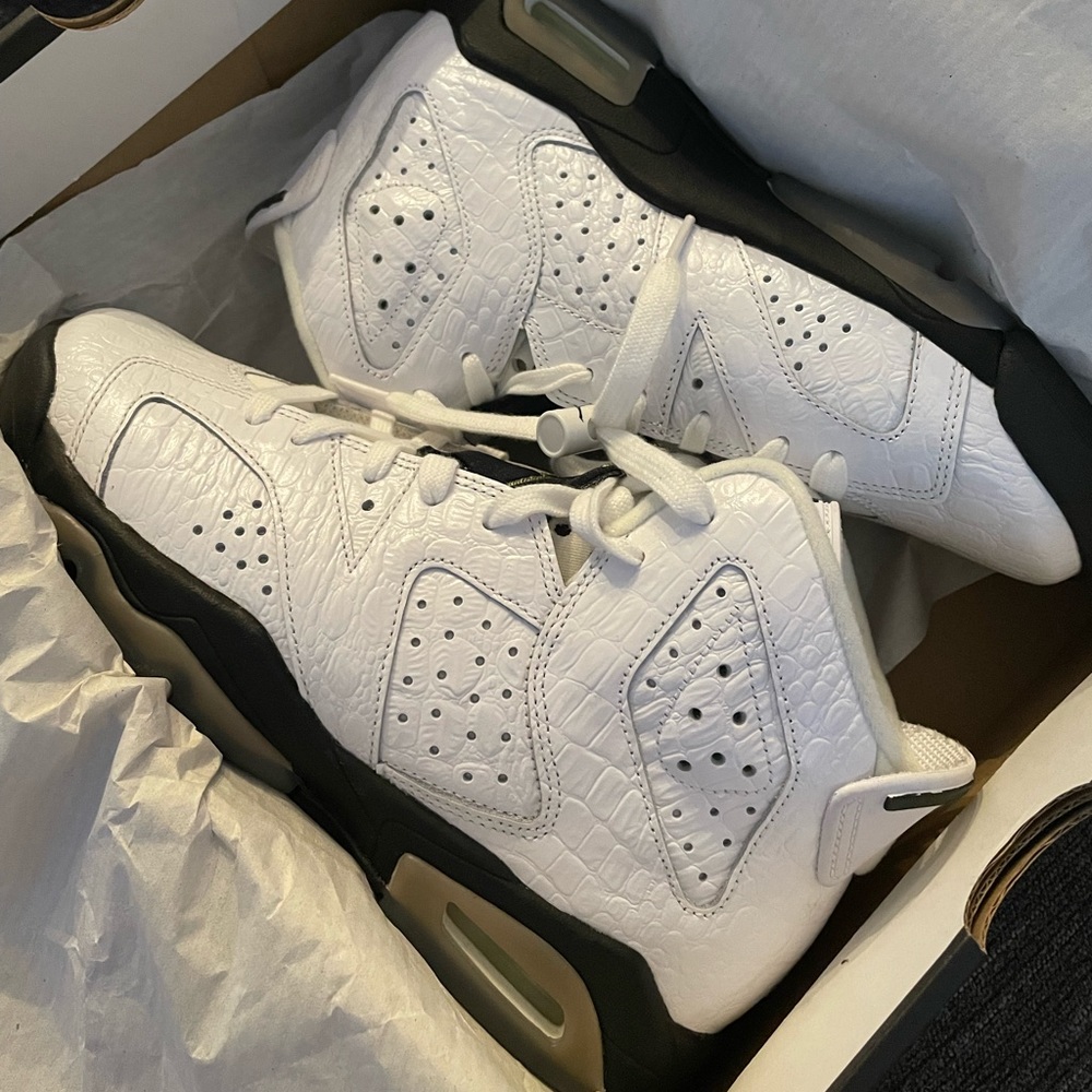 Air Jordan 6 Retro